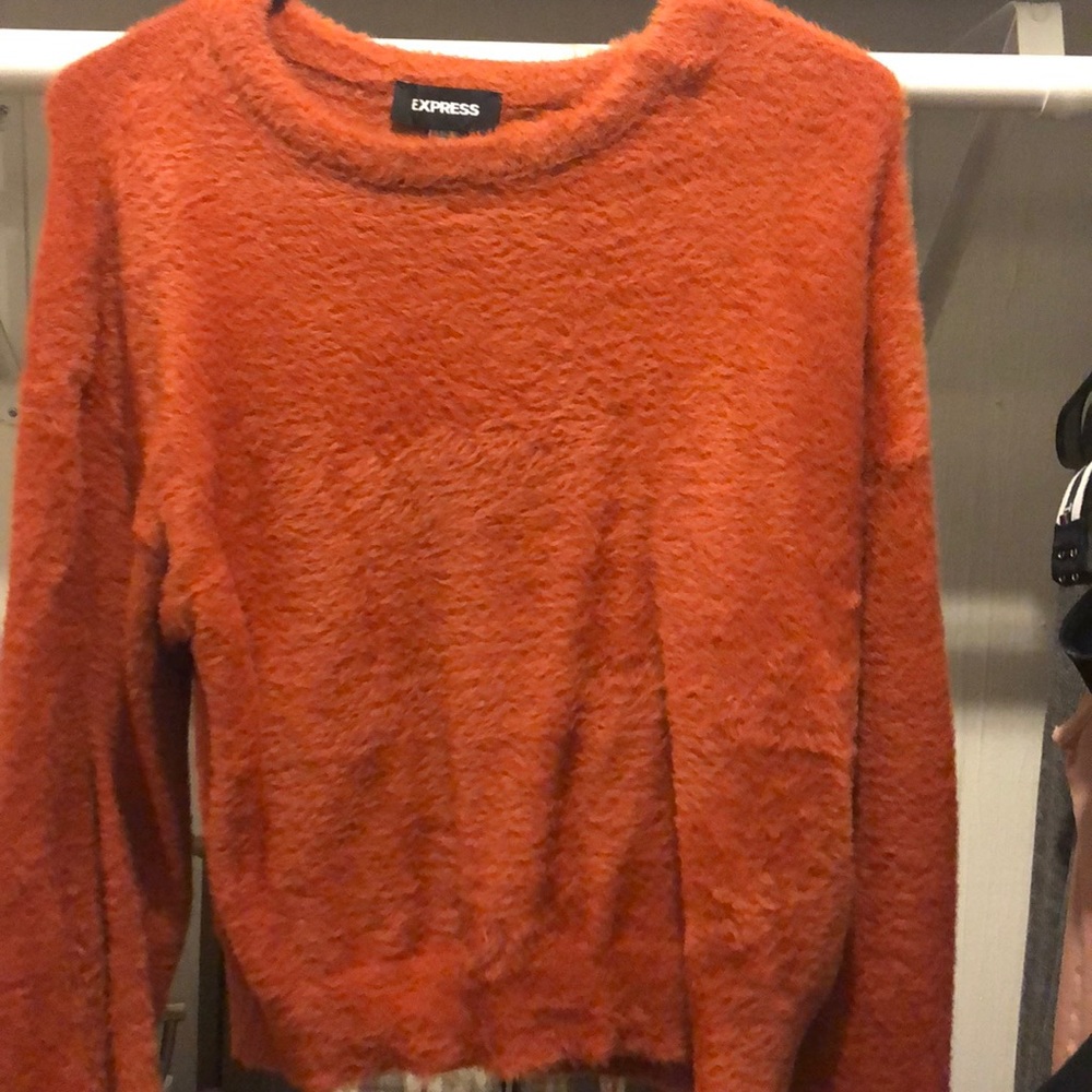Express sweater